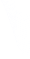 Lines image